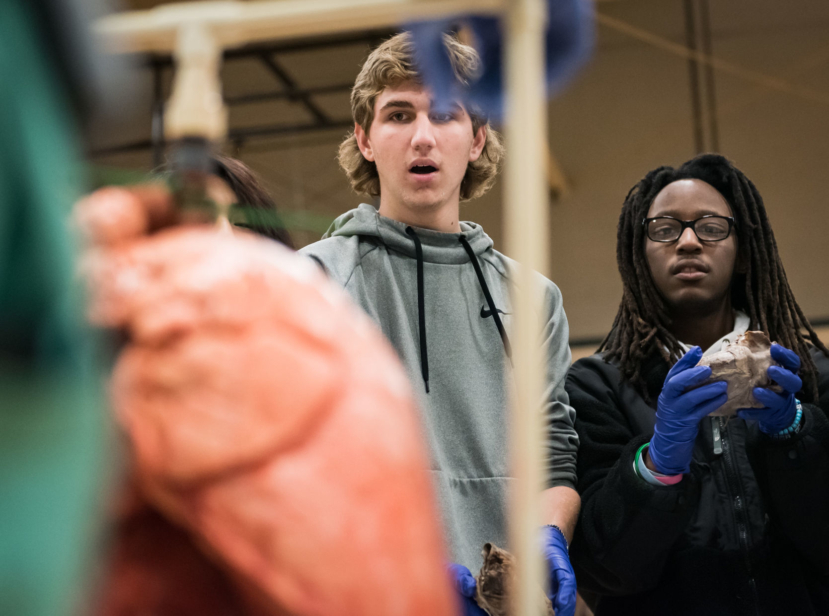Wake Forest School of Medicine Rolling Bones